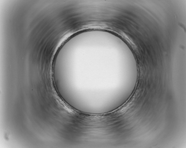 X0000094201240200710260905
