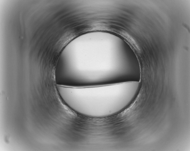 X0000094201241200710260905