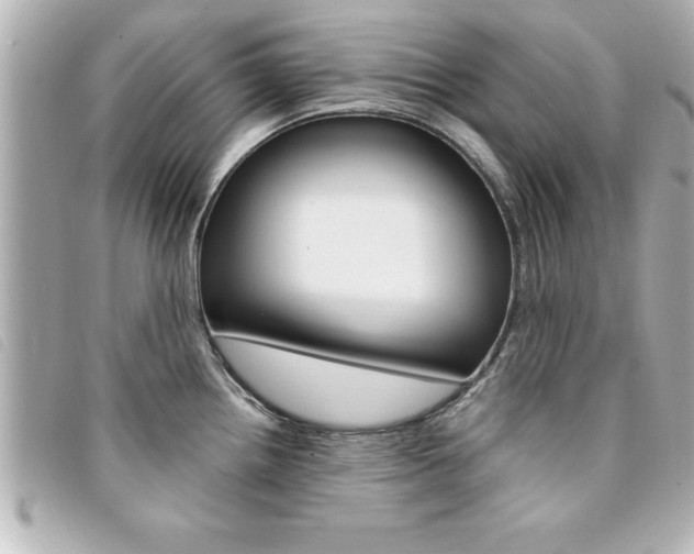 X0000094201242200710260905