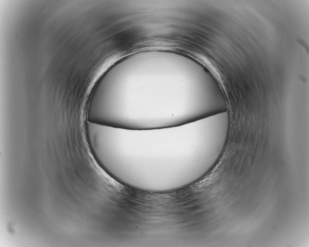 X0000094201243200710260905