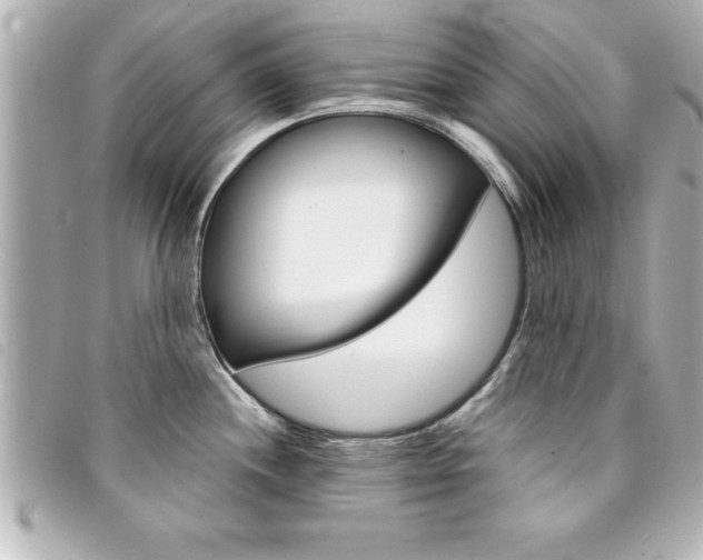 X0000094201244200710260905