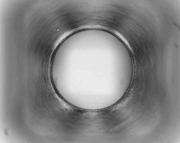 X0000094201245200710260905