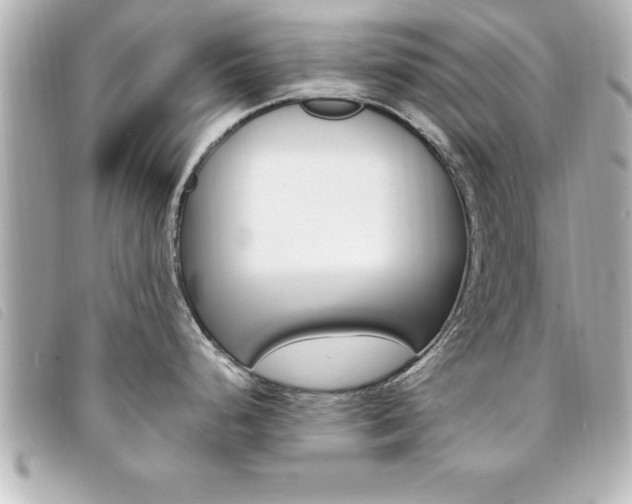 X0000094201248200710260906