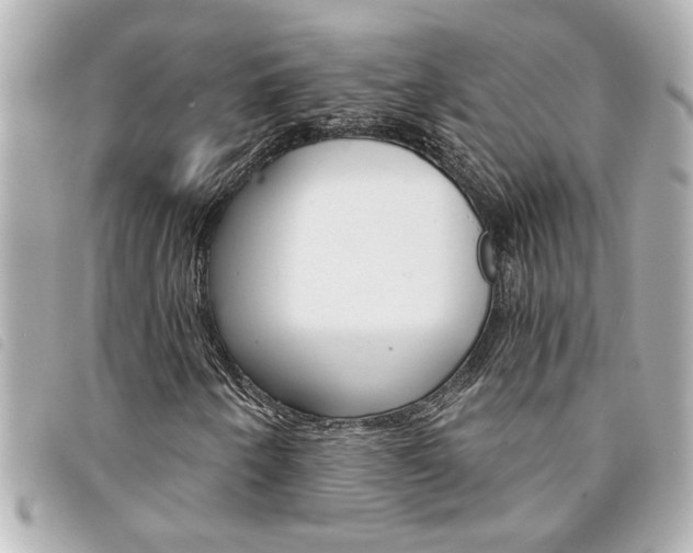 X0000094201250200710260905