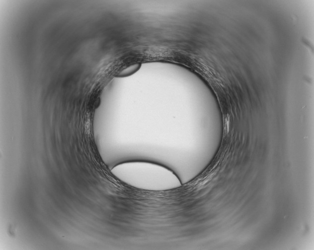 X0000094201251200710260905