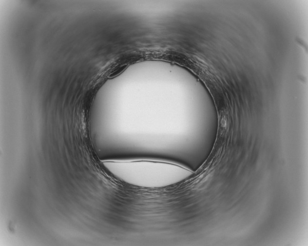 X0000094201252200710260905