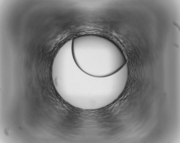 X0000094201253200710260905
