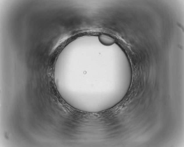 X0000094201255200710260905