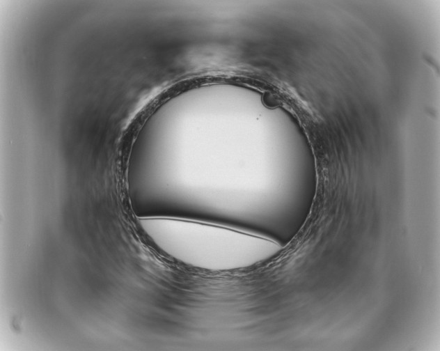 X0000094201256200710260905