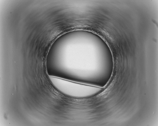 X0000094201257200710260905