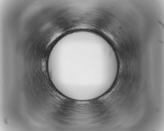 X0000094201258200710260905
