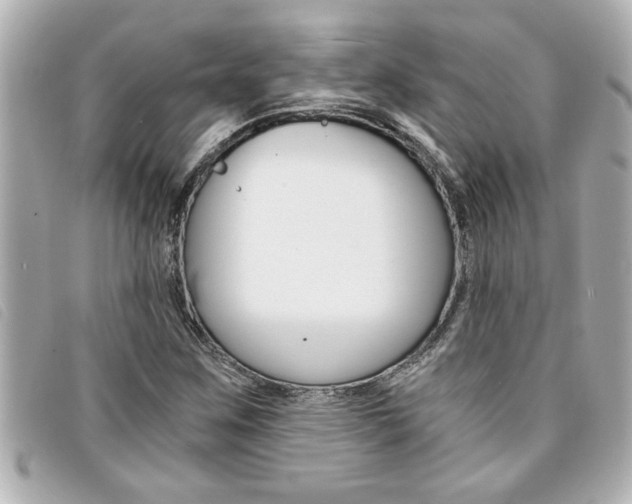 X0000094201259200710260905