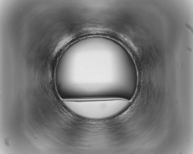 X0000094201261200710260905