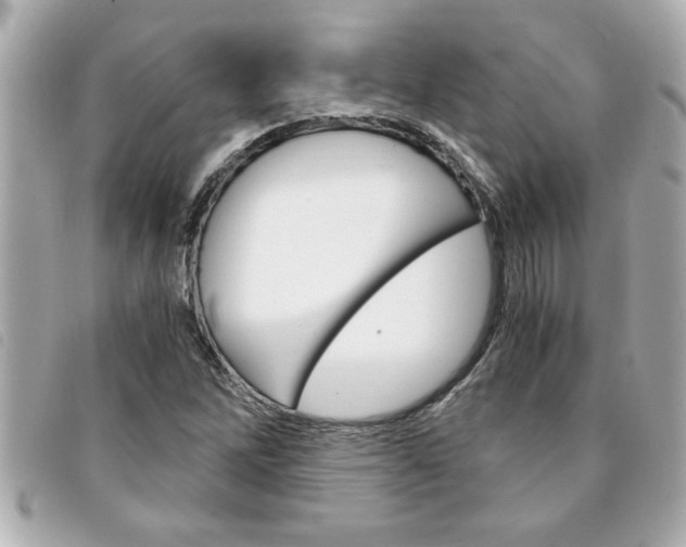 X0000094201262200710260905