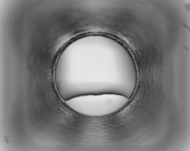 X0000094201263200710260905