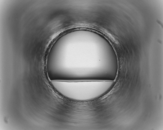 X0000094201264200710260905