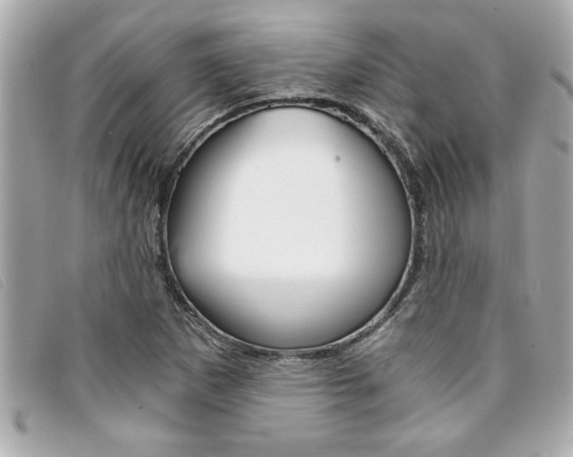 X0000094201265200710260905