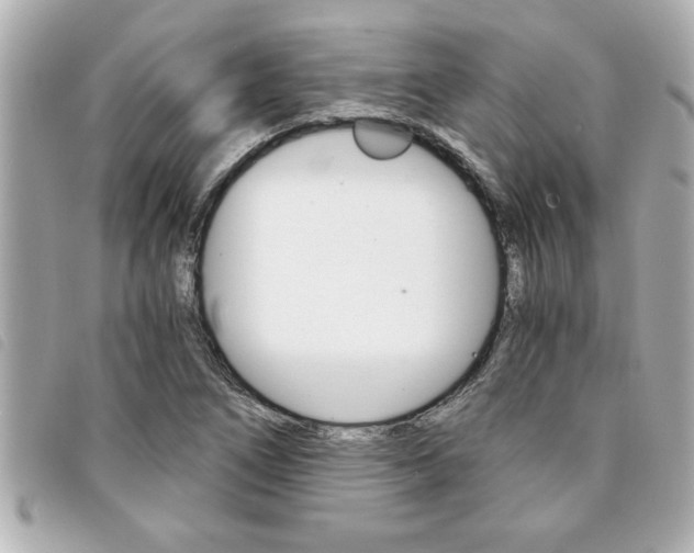 X0000094201266200710260905