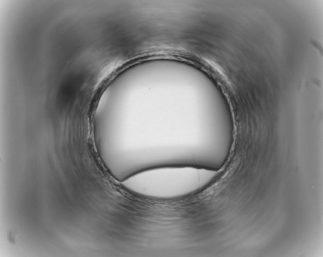 X0000094201267200710260905