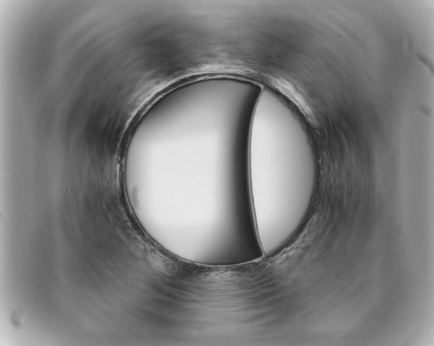 X0000094201268200710260905