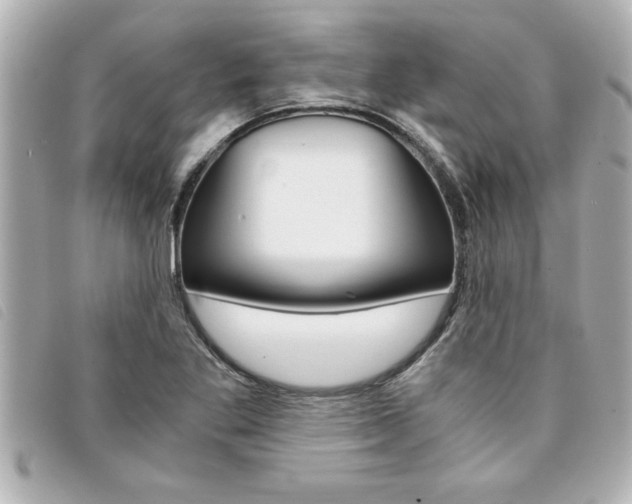 X0000094201269200710260905
