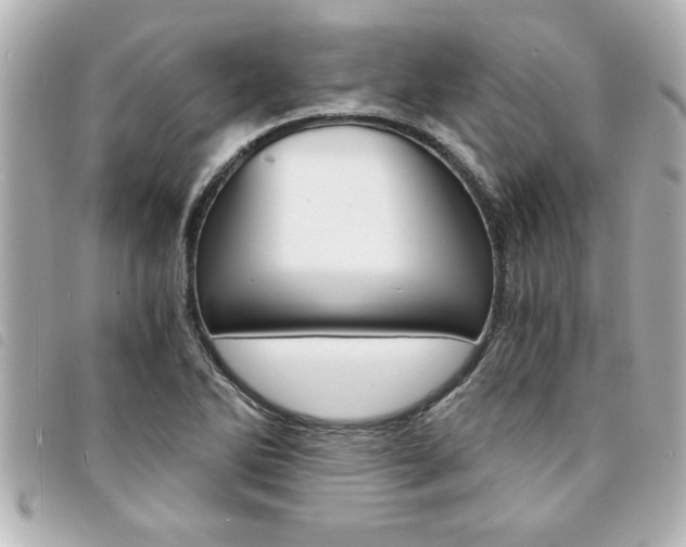 X0000094201270200710260905