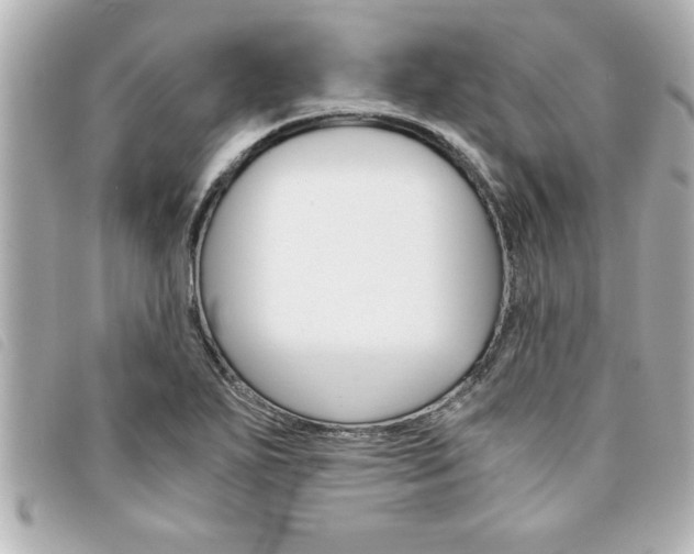 X0000094201271200710260905