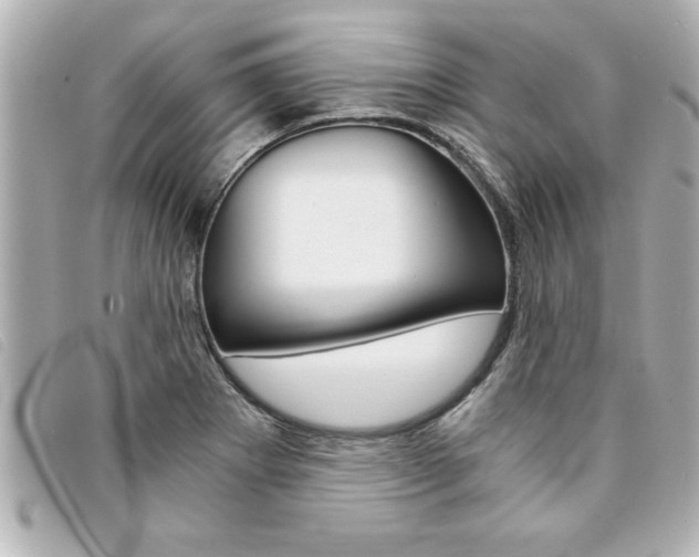 X0000094201273200710260905