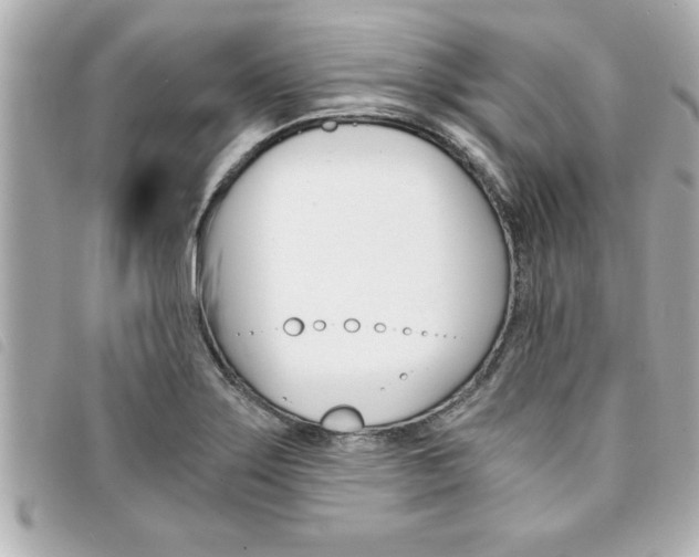 X0000094201275200710260905