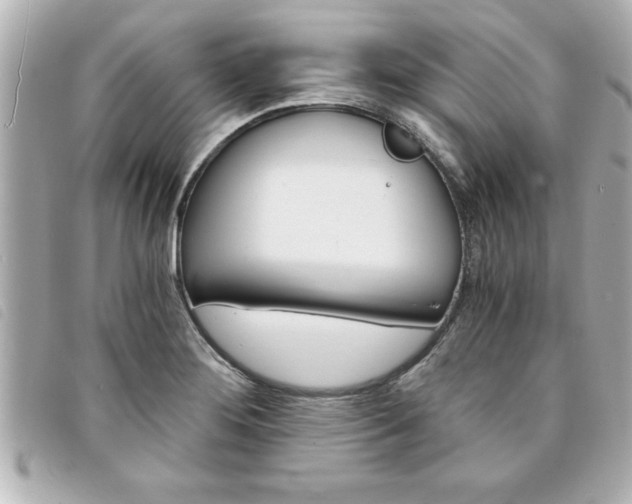 X0000094201276200710260905