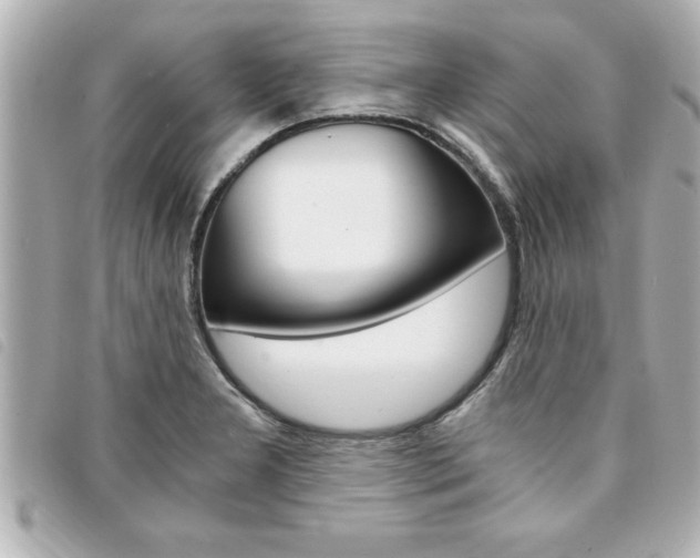 X0000094201277200710260905