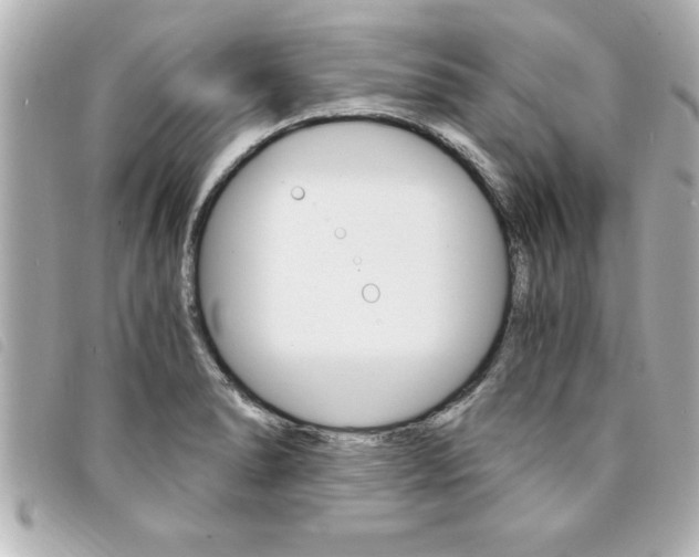 X0000094201278200710260905