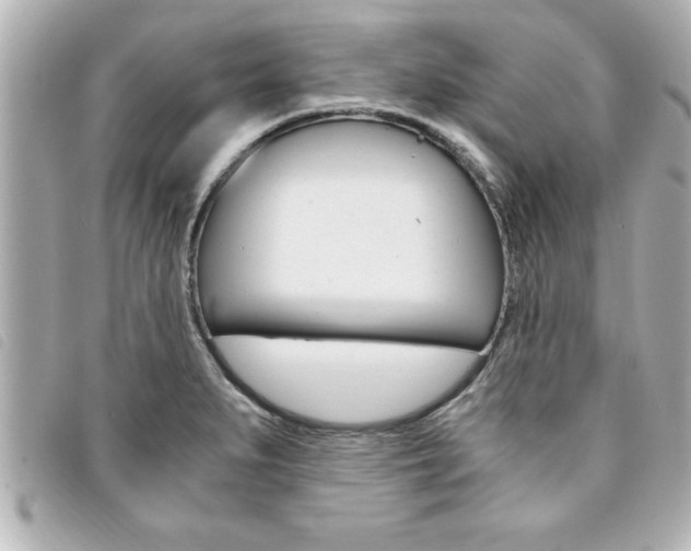 X0000094201279200710260905