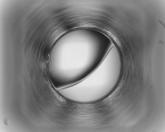 X0000094201281200710260905