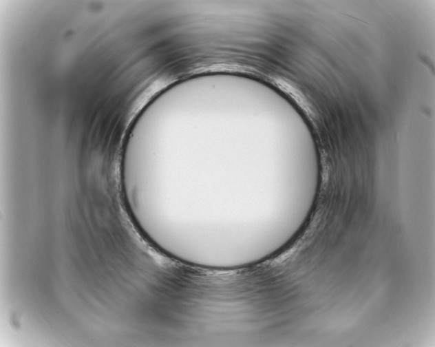 X0000094201282200710260905