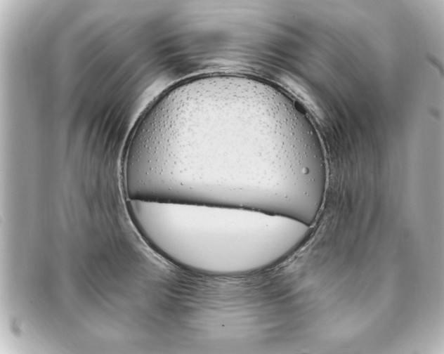X0000094201283200710260905
