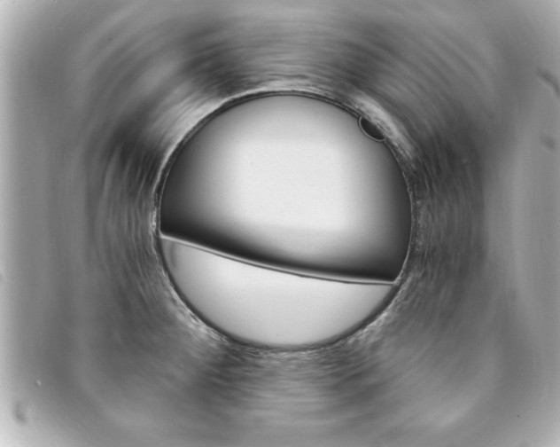 X0000094201284200710260905
