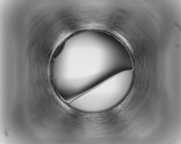 X0000094201285200710260905