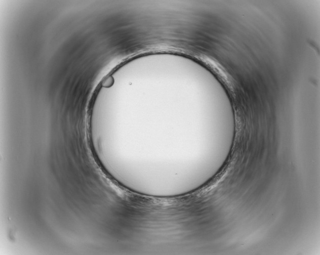 X0000094201286200710260905