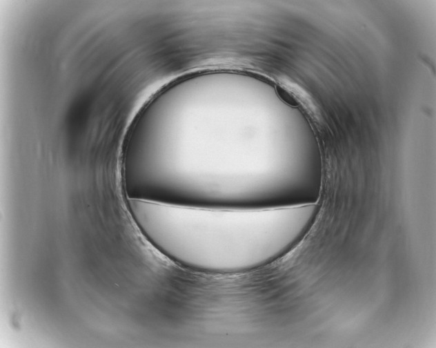 X0000094201288200710260904