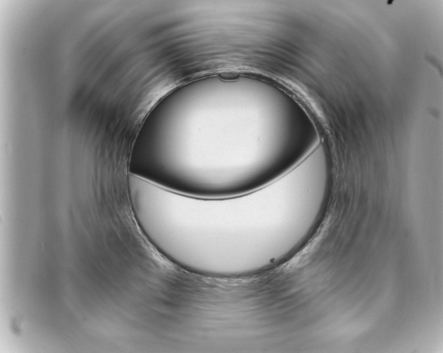 X0000094201289200710260904
