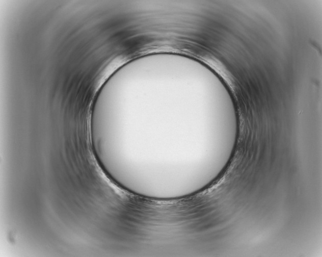 X0000094201290200710260904