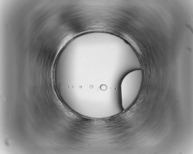 X0000094201291200710260904