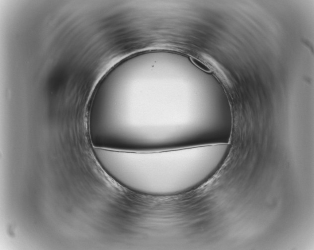 X0000094201292200710260904