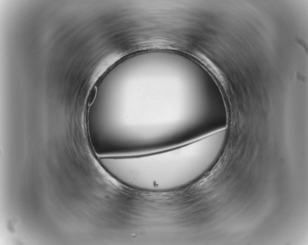 X0000094201293200710260904
