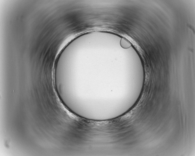 X0000094201294200710260904