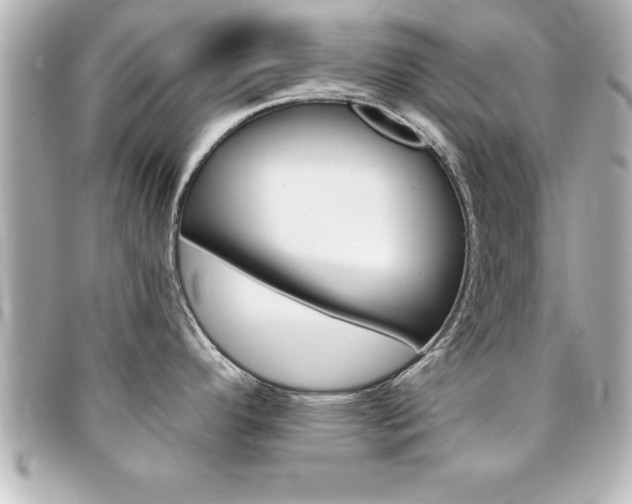 X0000094201296200710260904