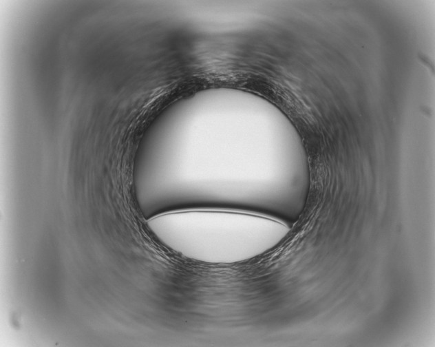 X0000094201297200710260904