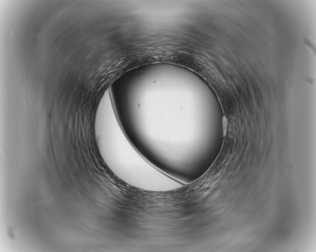 X0000094201298200710260904