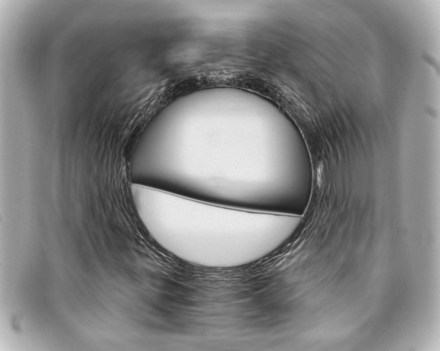 X0000094201299200710260904